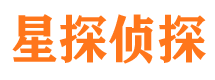 龙山侦探公司